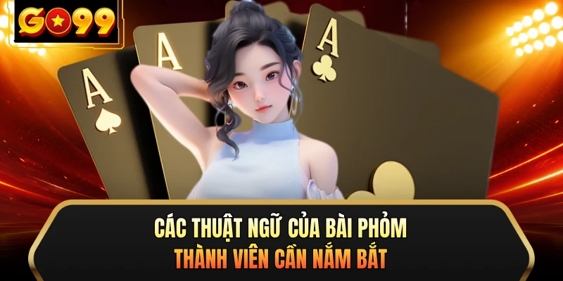 Các thuật ngữ của bài Phỏm thành viên cần nắm bắt 