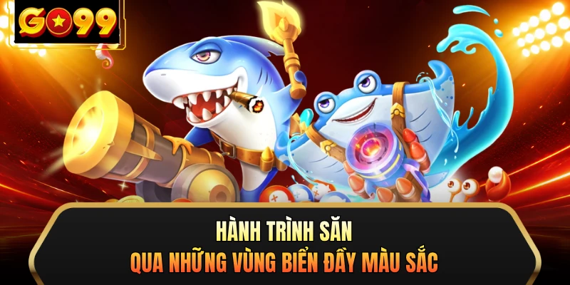 Hành trình săn qua những vùng biển đầy màu sắc